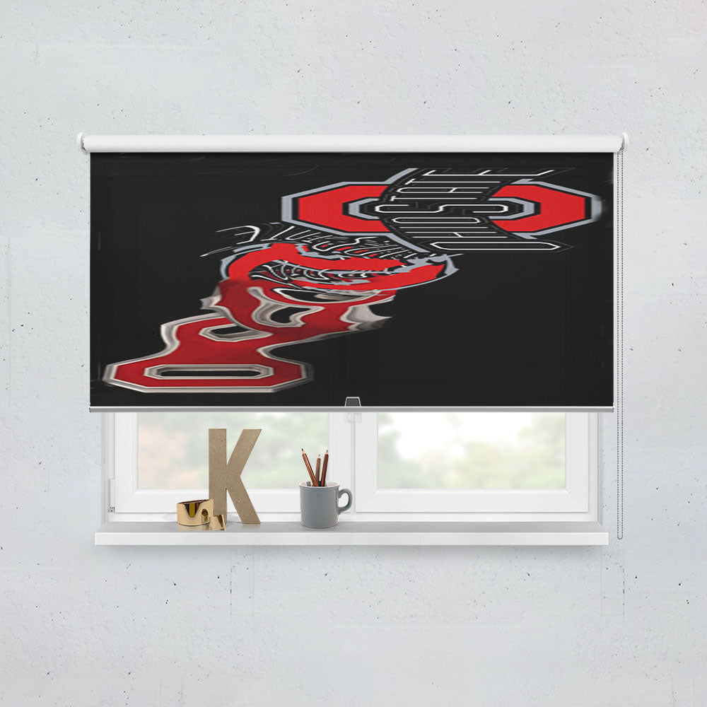 Ohio State University Art Window Roller Blinds Shades