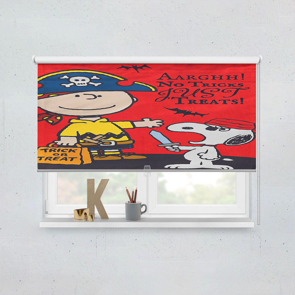 Snoopy Charlie Brown And Moon Window Roller Blinds Shades