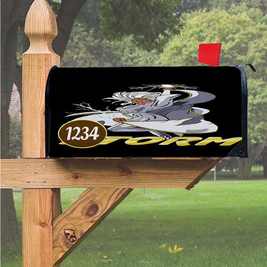 Storm Classic Magnetic Mailbox Cover 18" X 21" Outdoor Decor
