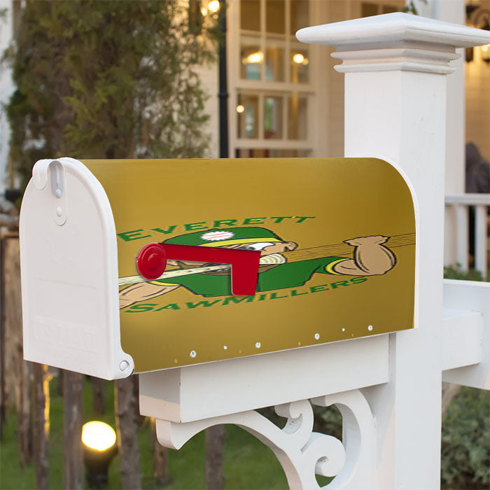 Everett Aquasox Baseball Logo Magnetic Mailbox Cover 18" X 21" Outdoor Decor