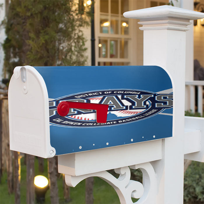 Grays Baseball Logo Blue Magnetic Mailbox Cover 18" X 21" Outdoor Decor