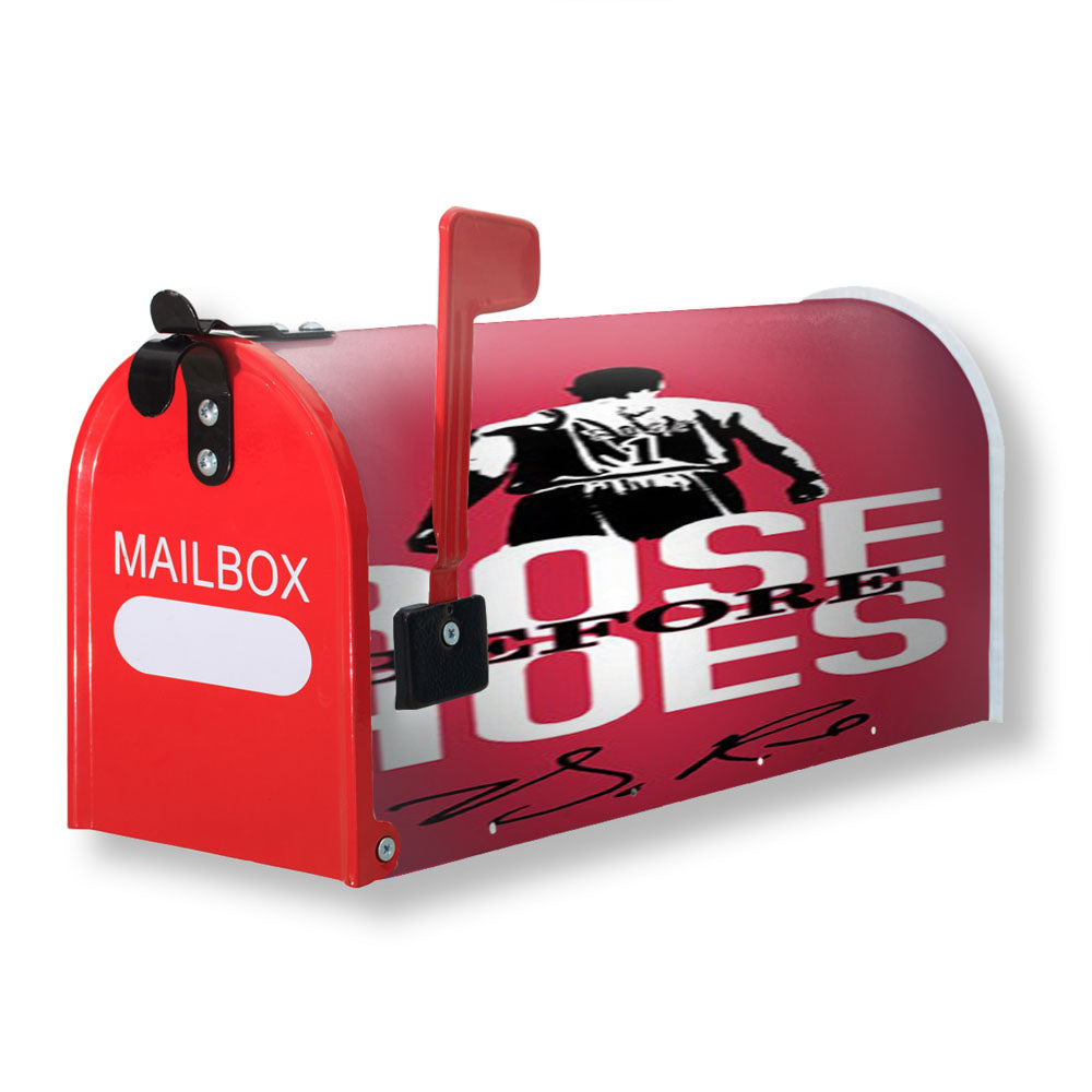 Derrick Rose Basketball Magnetic Mailbox Cover - 18.0" x 21.0"