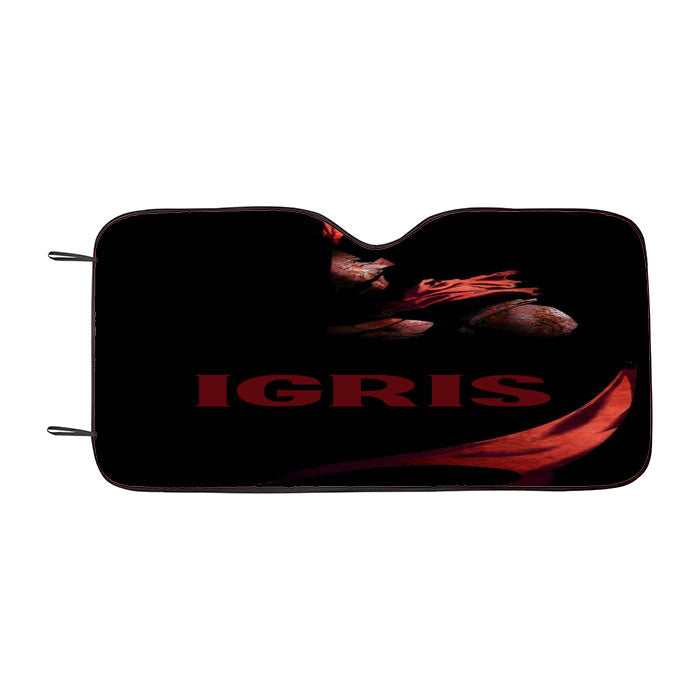 Manhwa Solo Leveling Red Igris Car Auto Sun Shade Windshield Cover