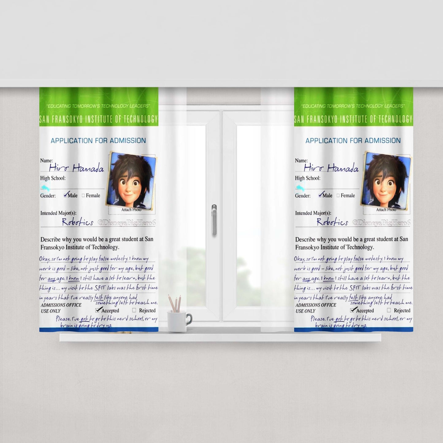 Hiro Hamada Big Hero Peach Skin Window Curtains