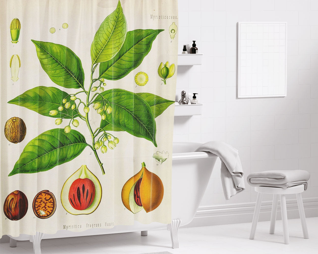 Nutmeg Fruit Bathroom Shower Curtain Fabric Waterproof | 66 X 72 Inch