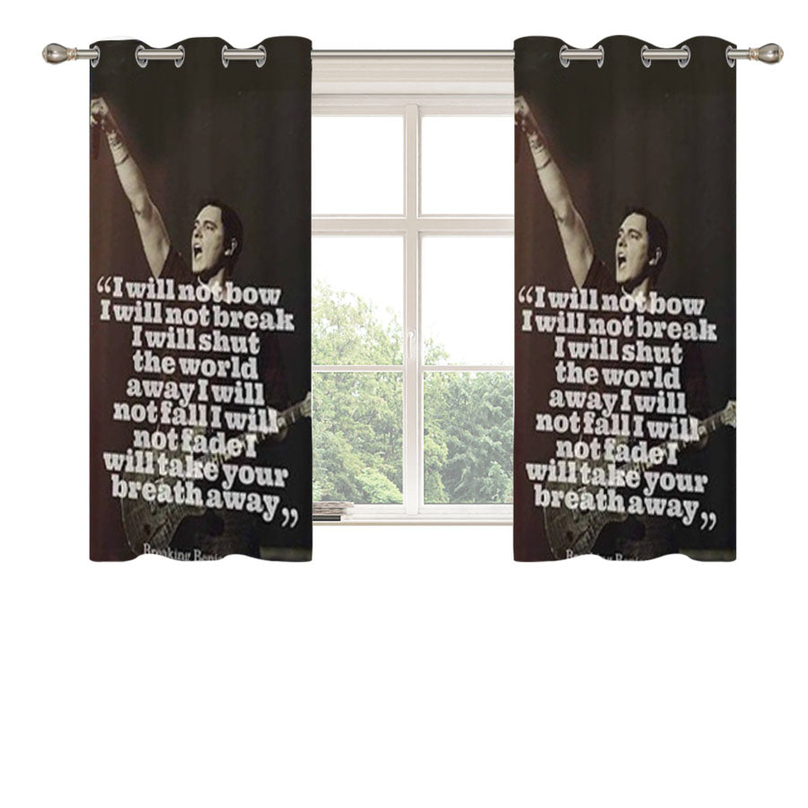 Breaking Benjamin Peach Skin Window Curtains