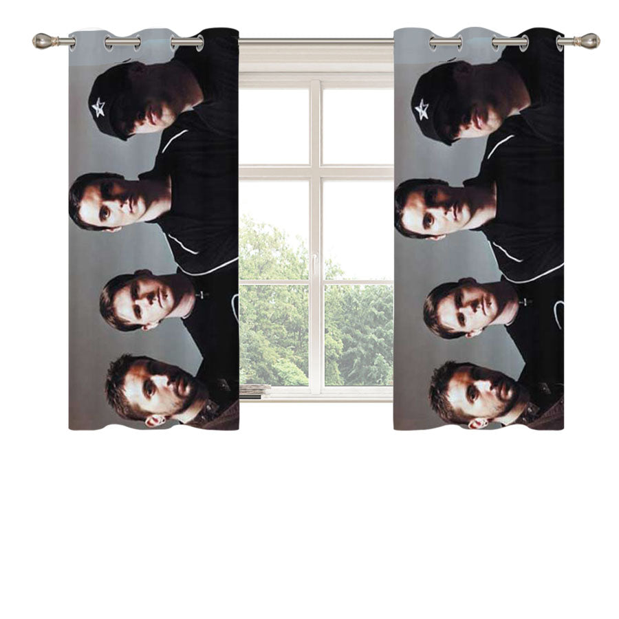 Breaking Benjamin Group Peach Skin Window Curtains