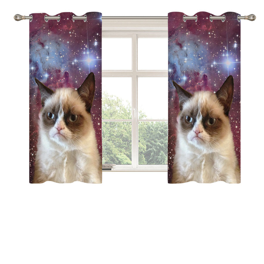 Galaxy Grumpy Cat Peach Skin Window Curtains
