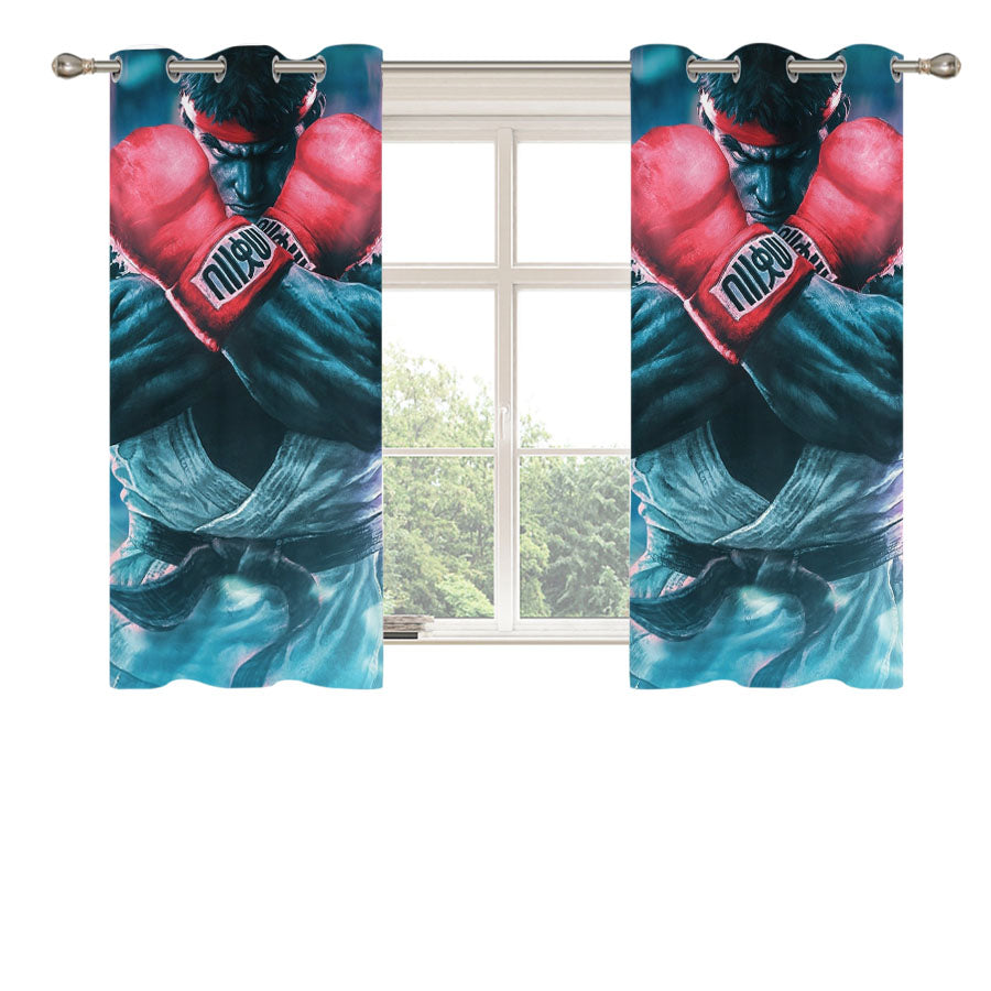 Street Fighter Anime Peach Skin Window Curtains