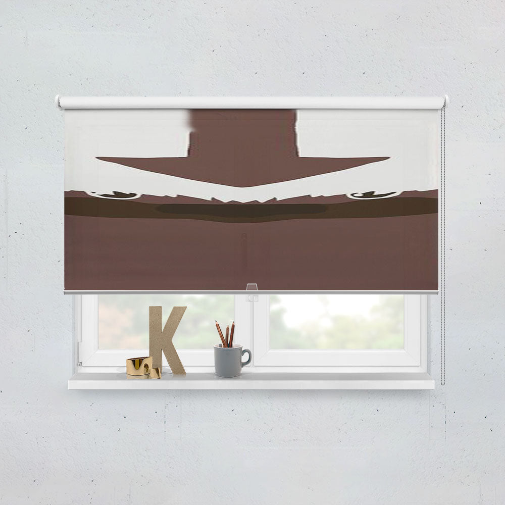 Appa The Last Airbender Window Roller Blinds Shades
