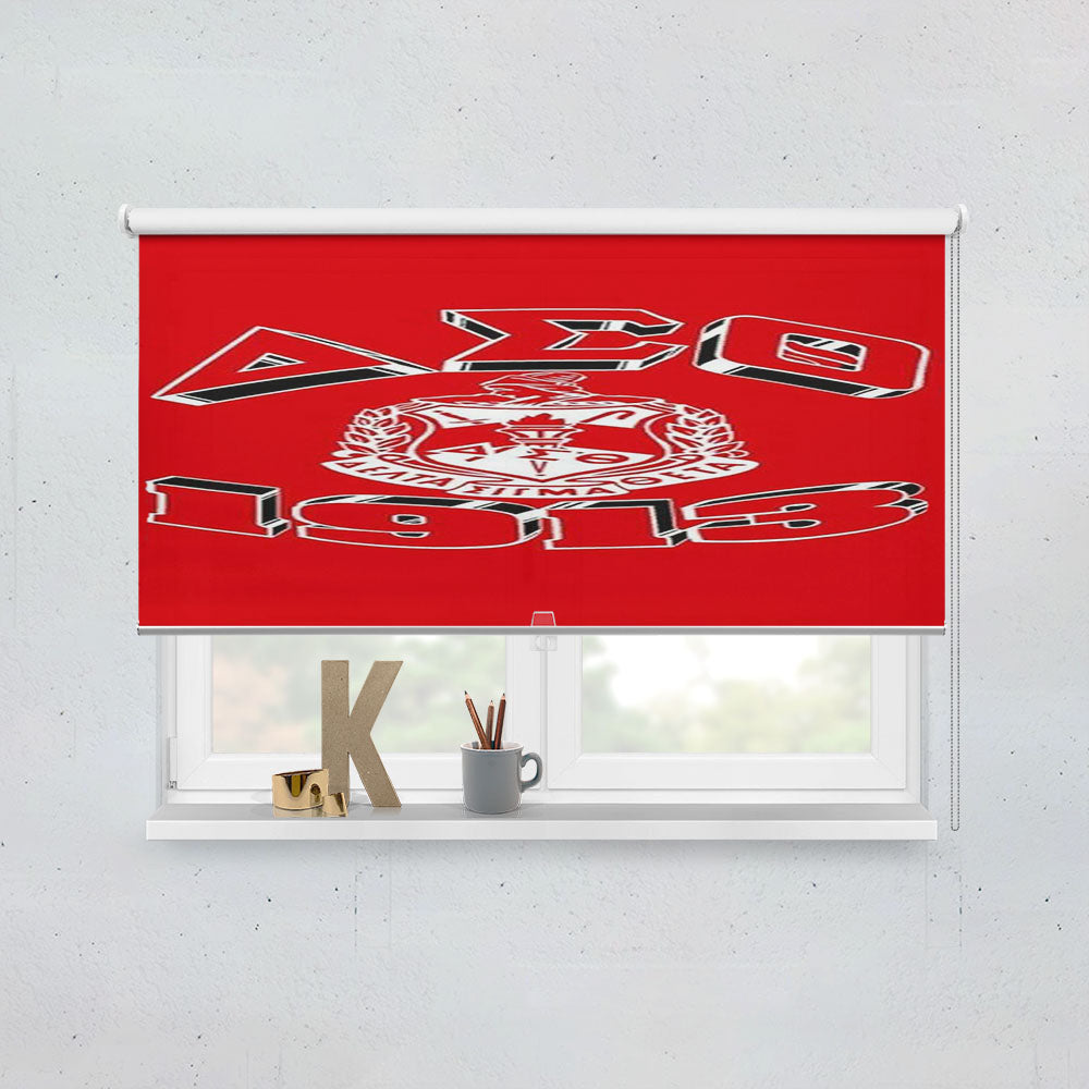 Delta Sigma Theta Icon Window Roller Blinds Shades