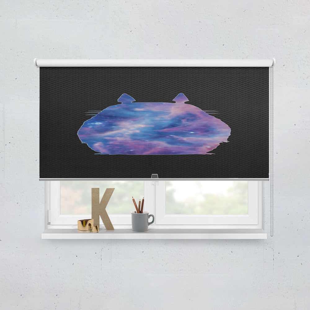 Galaxy Totoro  Window Roller Blinds Shades