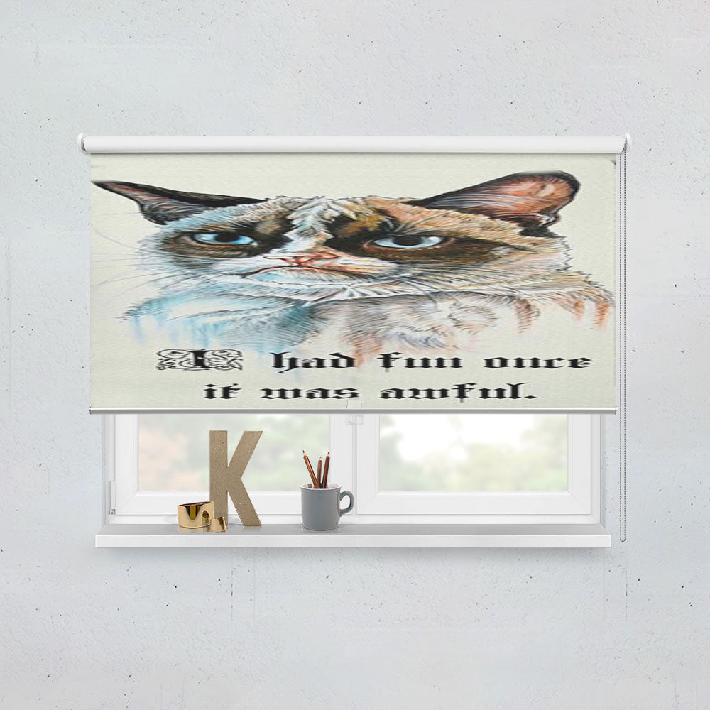 Grumpy Cat I Had Fun Once  Window Roller Blinds Shades