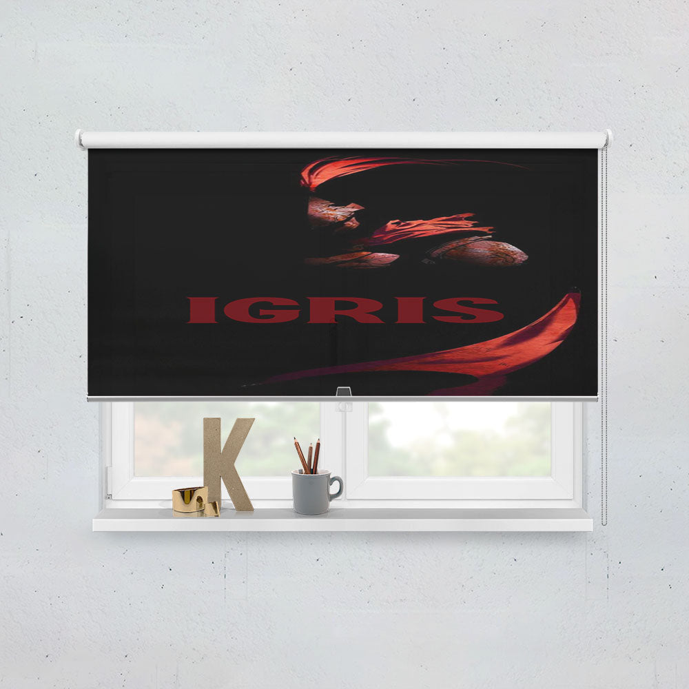 Manhwa Solo Leveling Red Igris Window Roller Blinds Shades