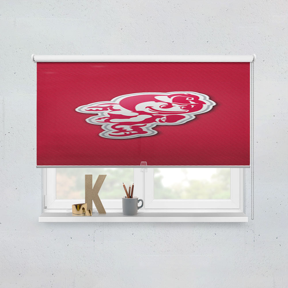 Ohio State Buckeyes Icon Window Roller Blinds Shades