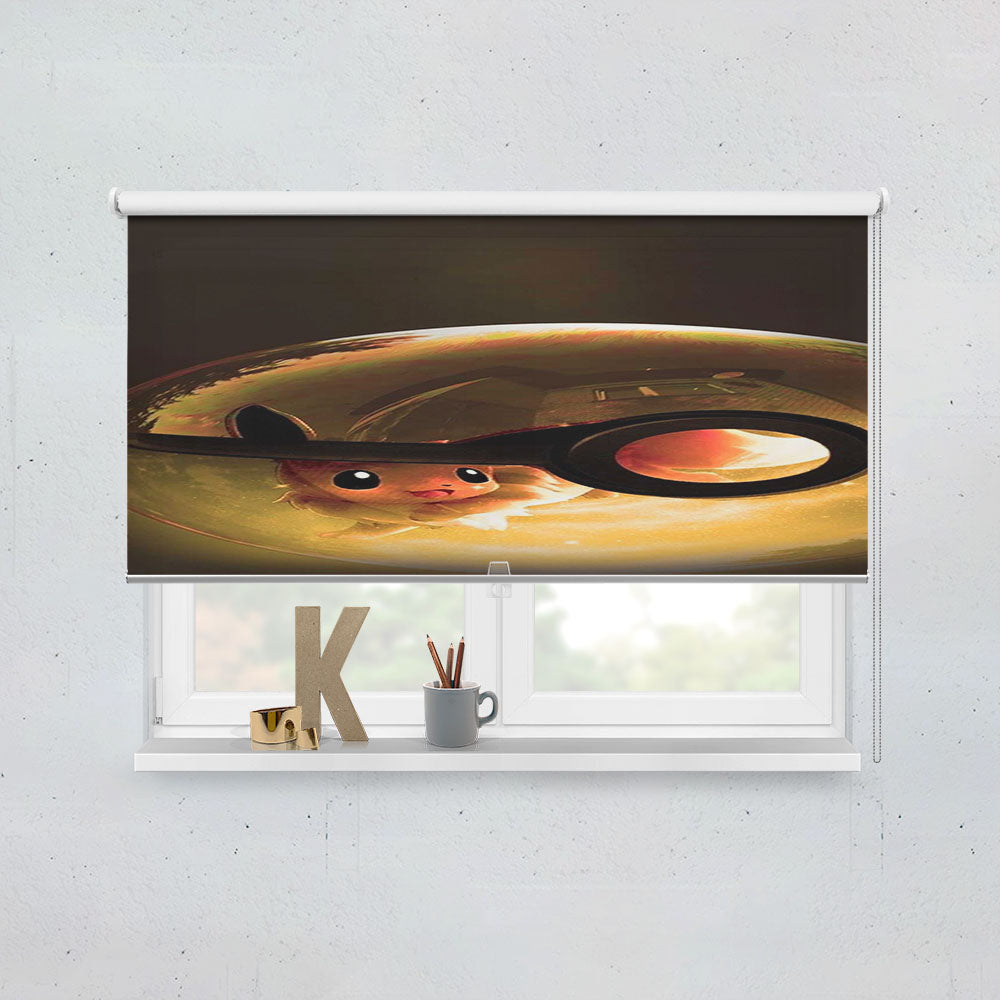 Pokemon In Ball Window Roller Blinds Shades