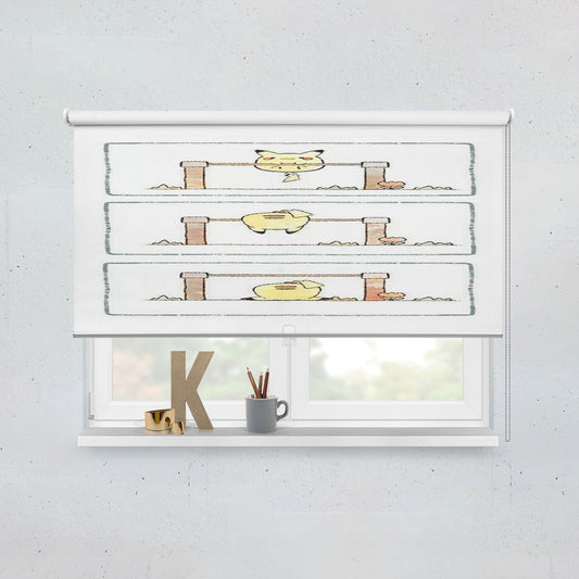 Pokemon Up And Down Window Roller Blinds Shades