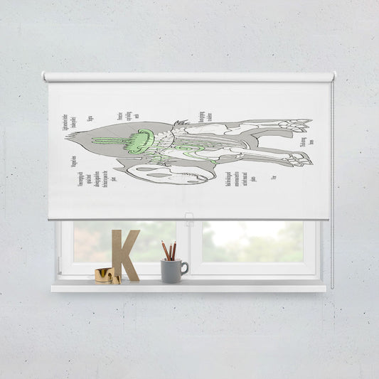 Pokemonography Bulbasaur Pokemon Pocket Monsters Window Roller Blinds Shades