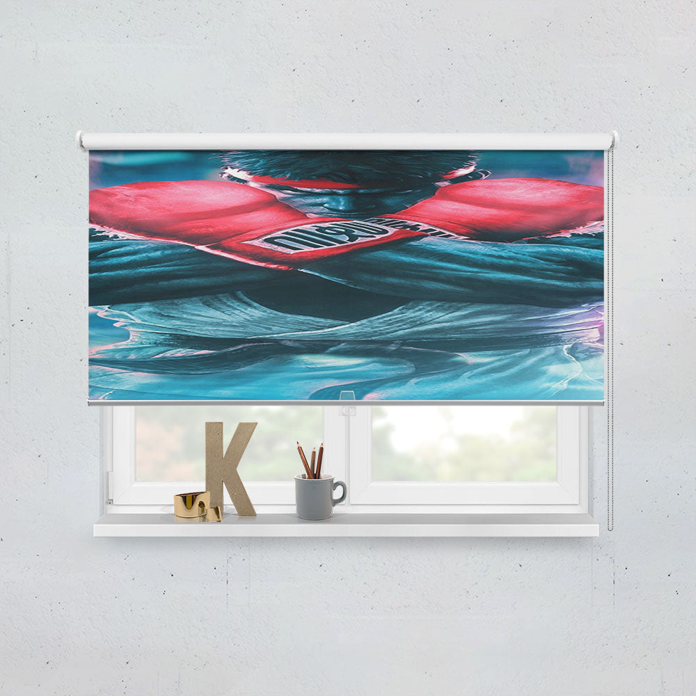Street Fighter Anime Window Roller Blinds Shades