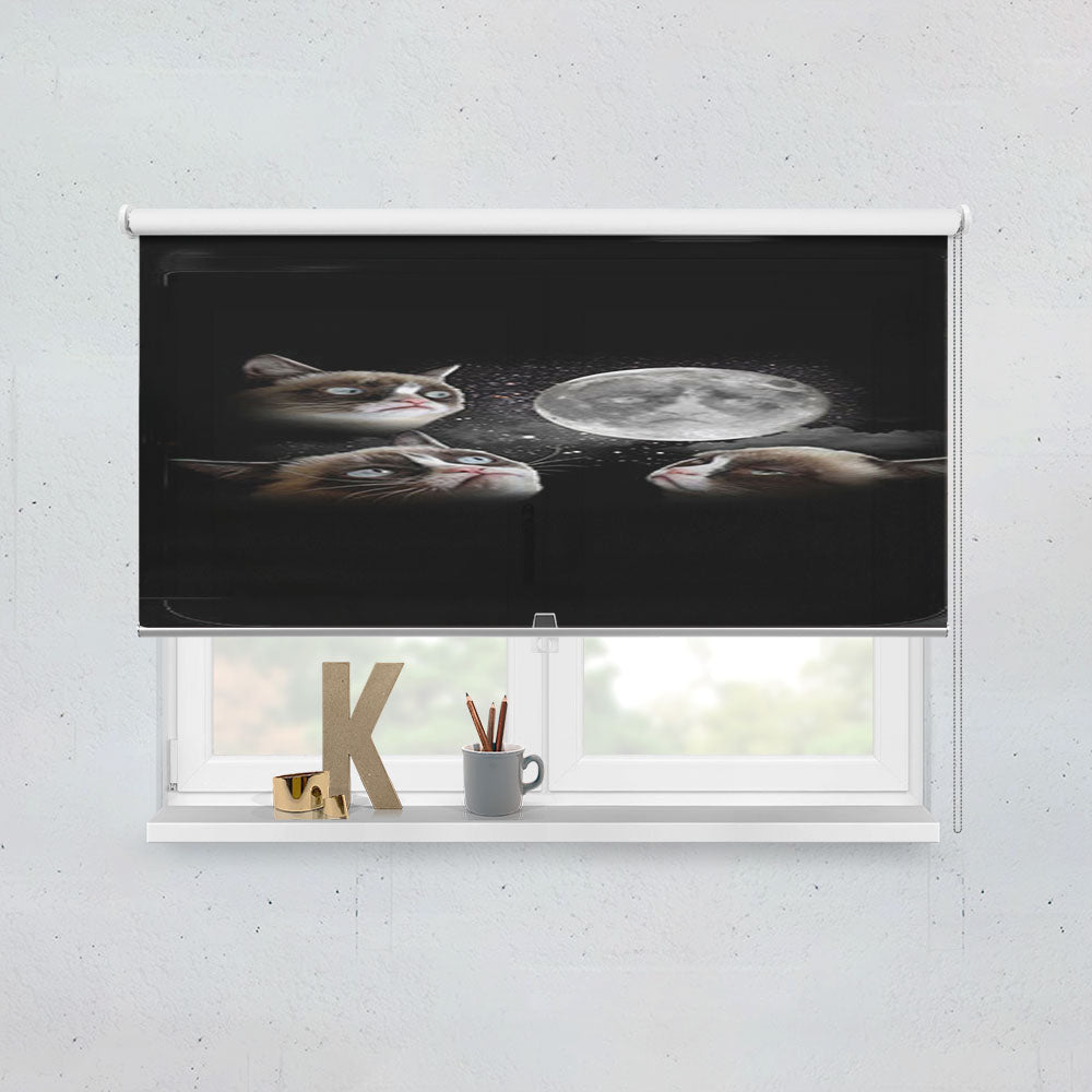 Three Grumpy Cat Moon Window Roller Blinds Shades