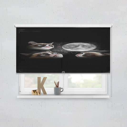 Three Grumpy Cat Moon Window Roller Blinds Shades