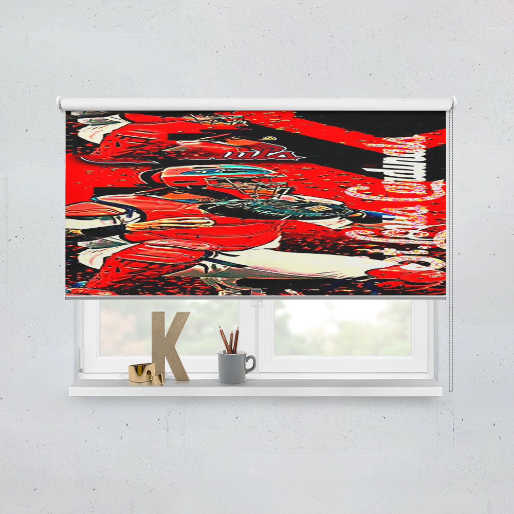 Yadier Molina Louis Cardinals Window Roller Blinds Shades