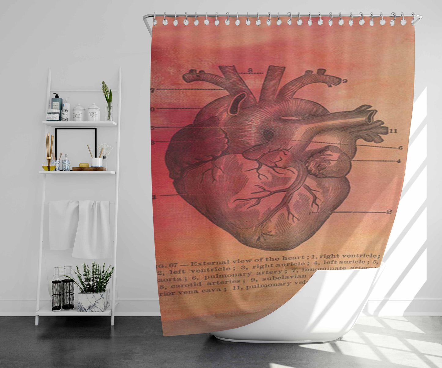 Vintage Medical Heart Illustration Bathroom Shower Curtain Fabric Waterproof | 66 X 72 Inch