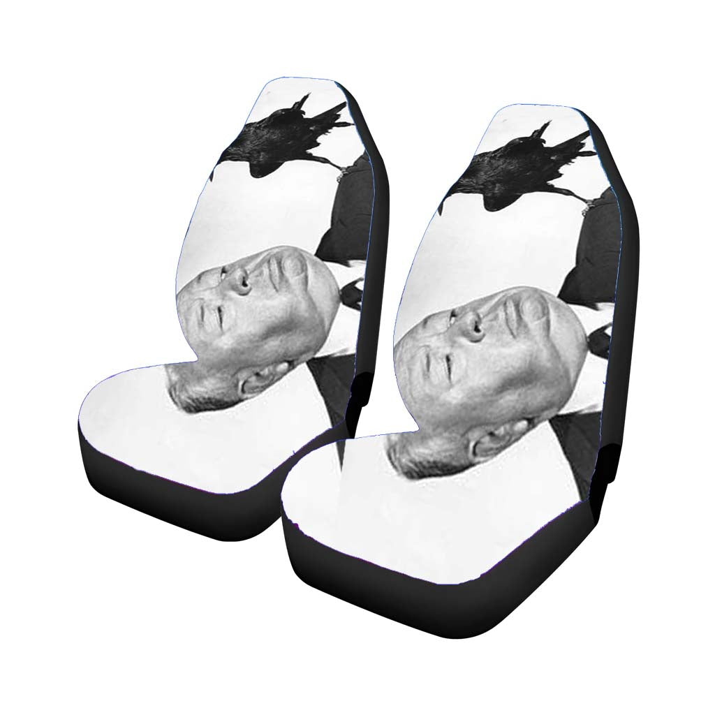 Hitchcock With Bird Car Seat Covers
