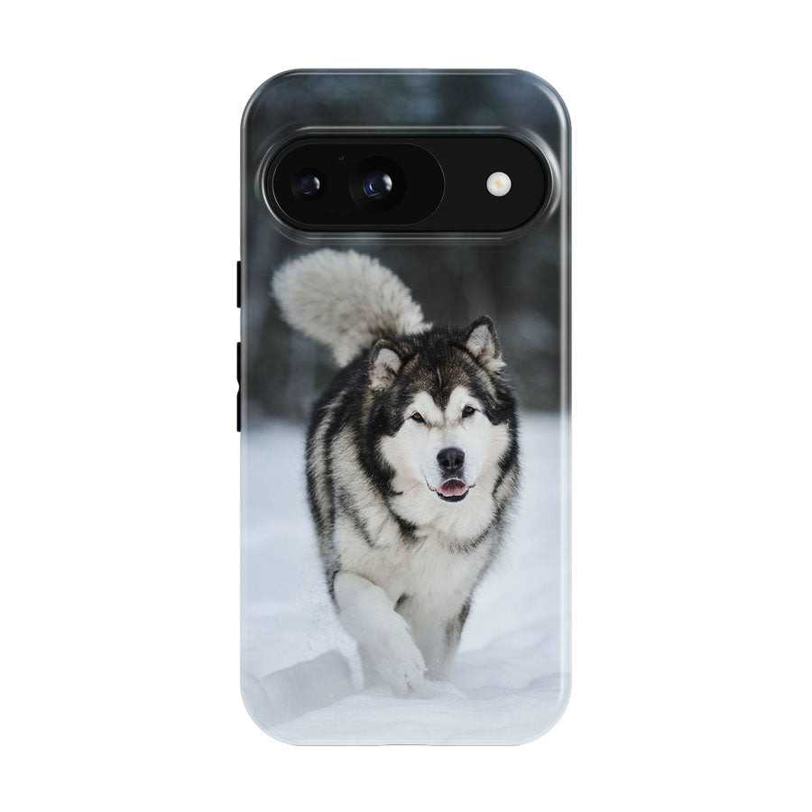 Alaskan Malamute Google Pixel 9 | 10 Pro Case