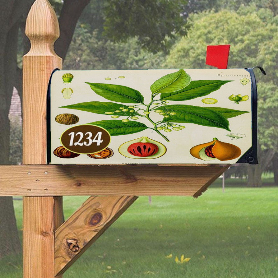 Nutmeg Fruit Magnetic Mailbox Cover 18" X 21" Outdoor Decor