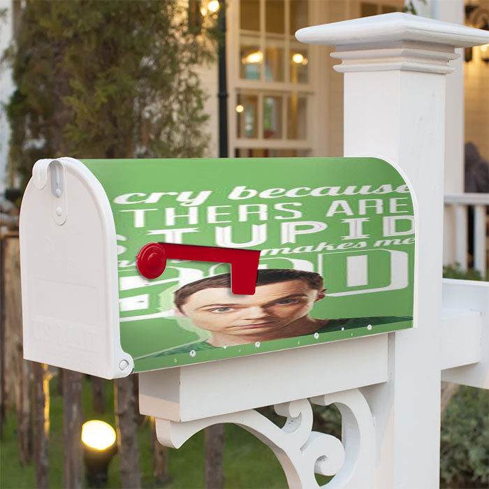 Big Bang Theory I Cry Magnetic Mailbox Cover 18" X 21" Outdoor Decor