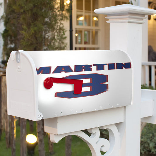 Clare Martin National Hockey Magnetic Mailbox Cover 18" X 21" Outdoor Decor