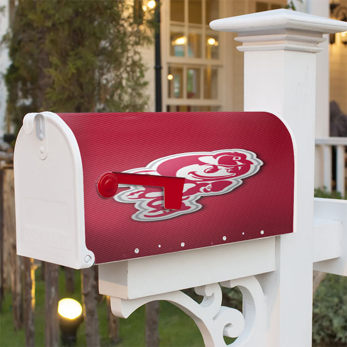 Ohio State Buckeyes Icon Magnetic Mailbox Cover 18" X 21" Outdoor Decor