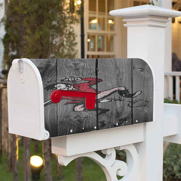 Old San Francisco 49Ers Nfl Logo Dark Wood Wallpaper Magnetic Mailbox Cover 18" X 21" Outdoor Decor