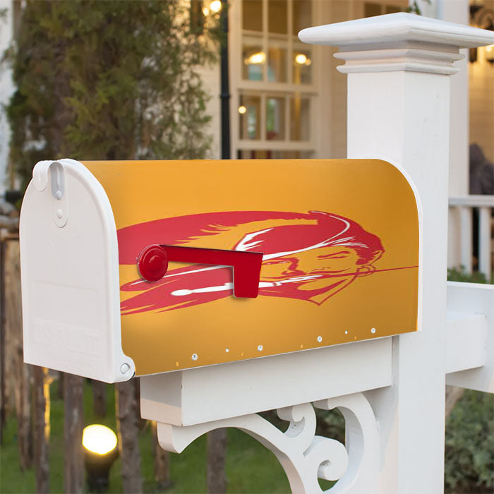 Tampa Bay Bucs Logo On Orange Magnetic Mailbox Cover 18" X 21" Outdoor Decor