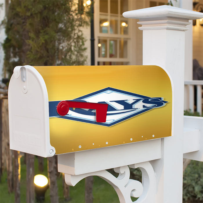 Tampa Bay Rays Logo Magnetic Mailbox Cover 18" X 21" Outdoor Decor