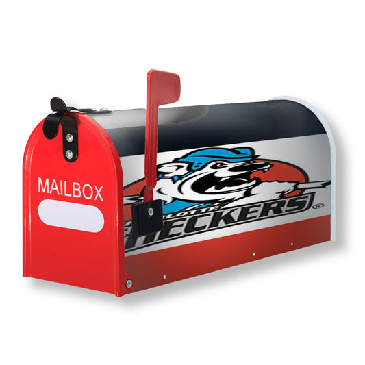 Charlotte Checkers Magnetic Mailbox Cover 18" x 21" Outdoor Decor