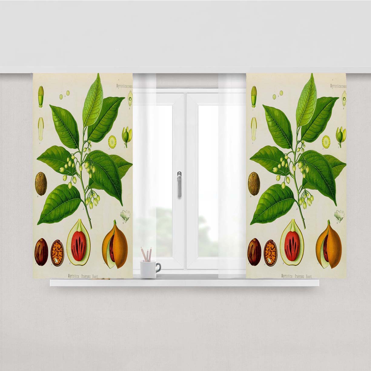 Nutmeg Fruit Peach Skin Window Curtains