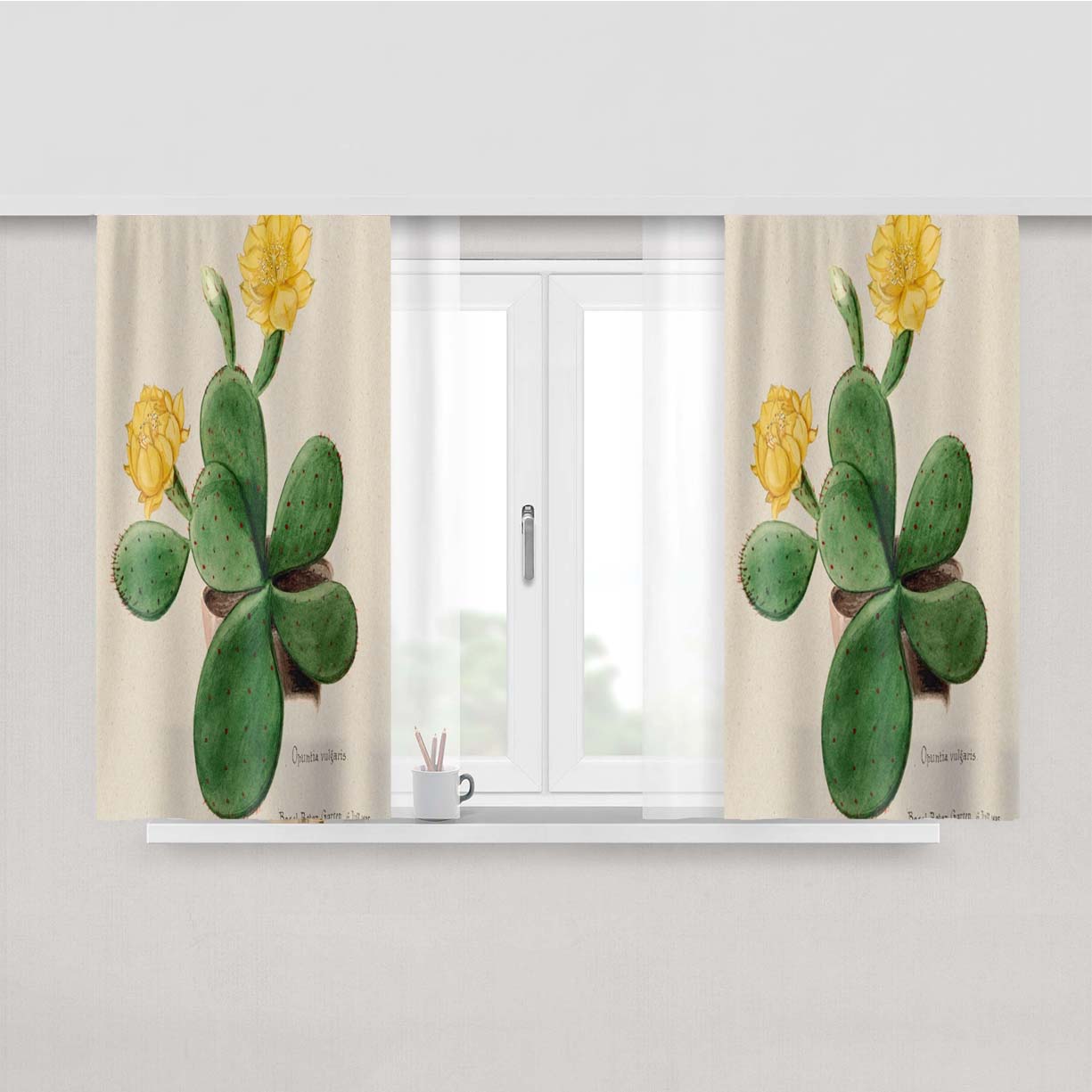 Prickly Pear Cactus Peach Skin Window Curtains