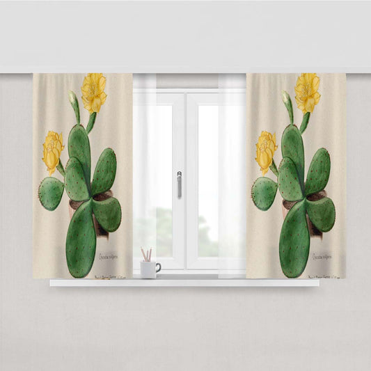 Prickly Pear Cactus Peach Skin Window Curtains