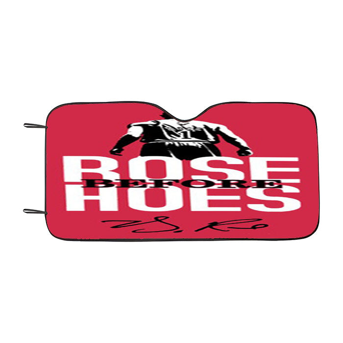 Derrick Rose Basketball Car Auto Sun Shade Windshield Cover