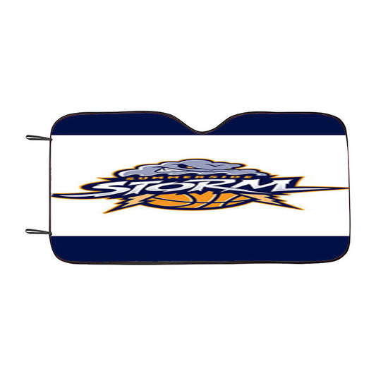 Summerside Blue Storm Car Auto Sun Shade Windshield Cover