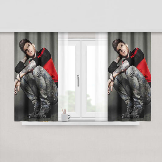 Adam Lambert Style Fabric Window Curtains
