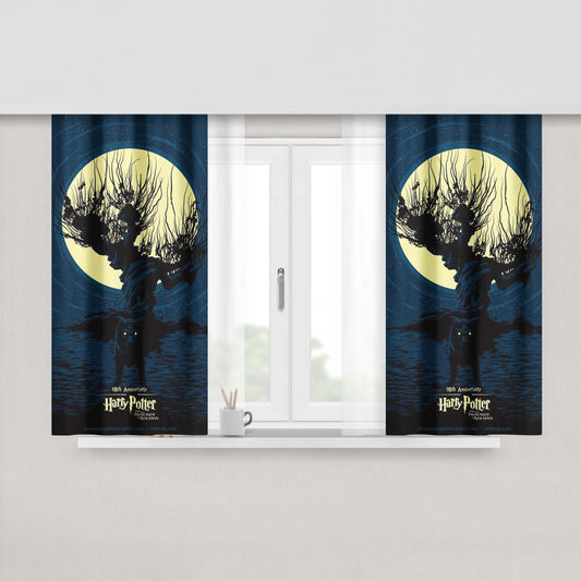Harry Potter In The Dark Shadows Fabric Window Curtains