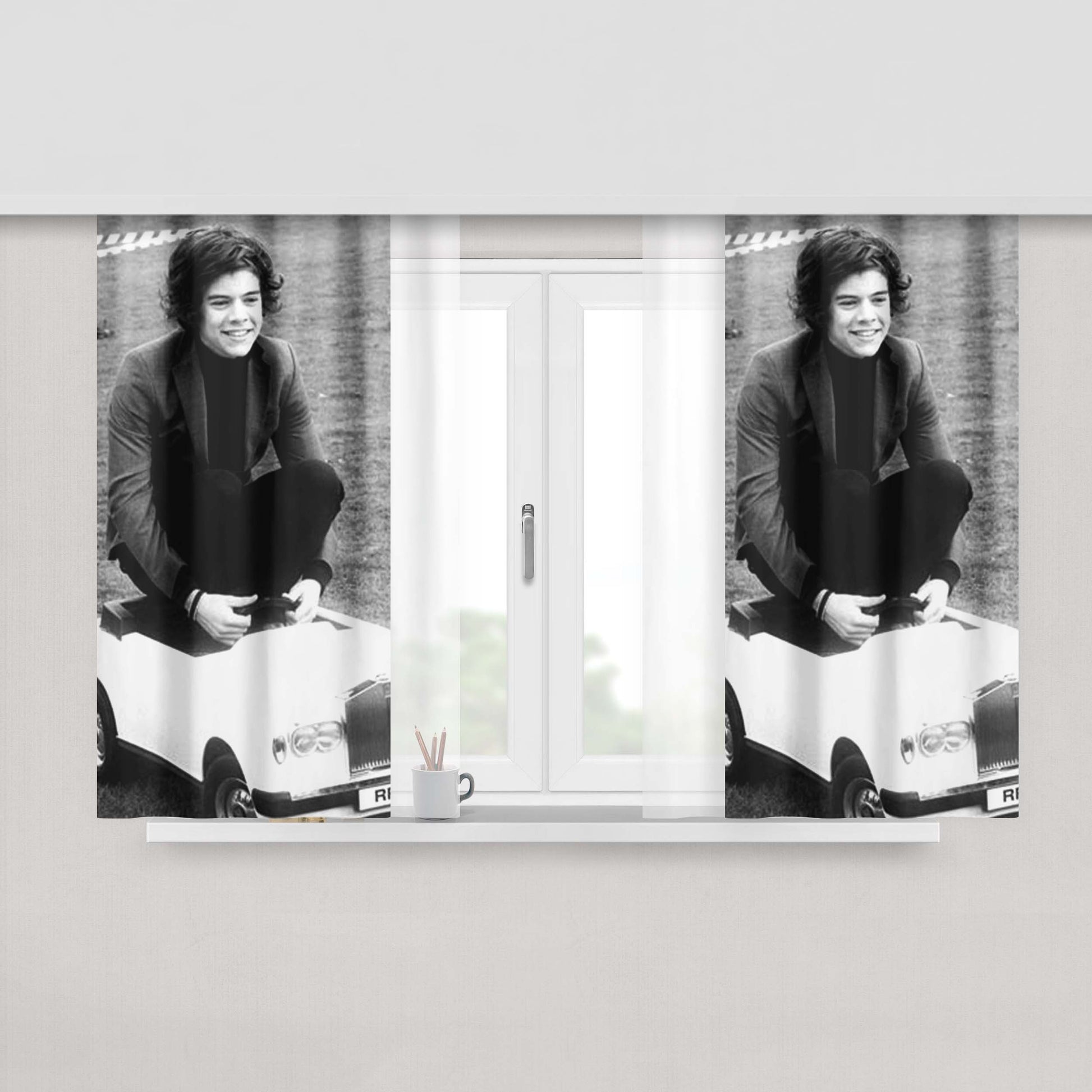 Harry Fabric Window Curtains