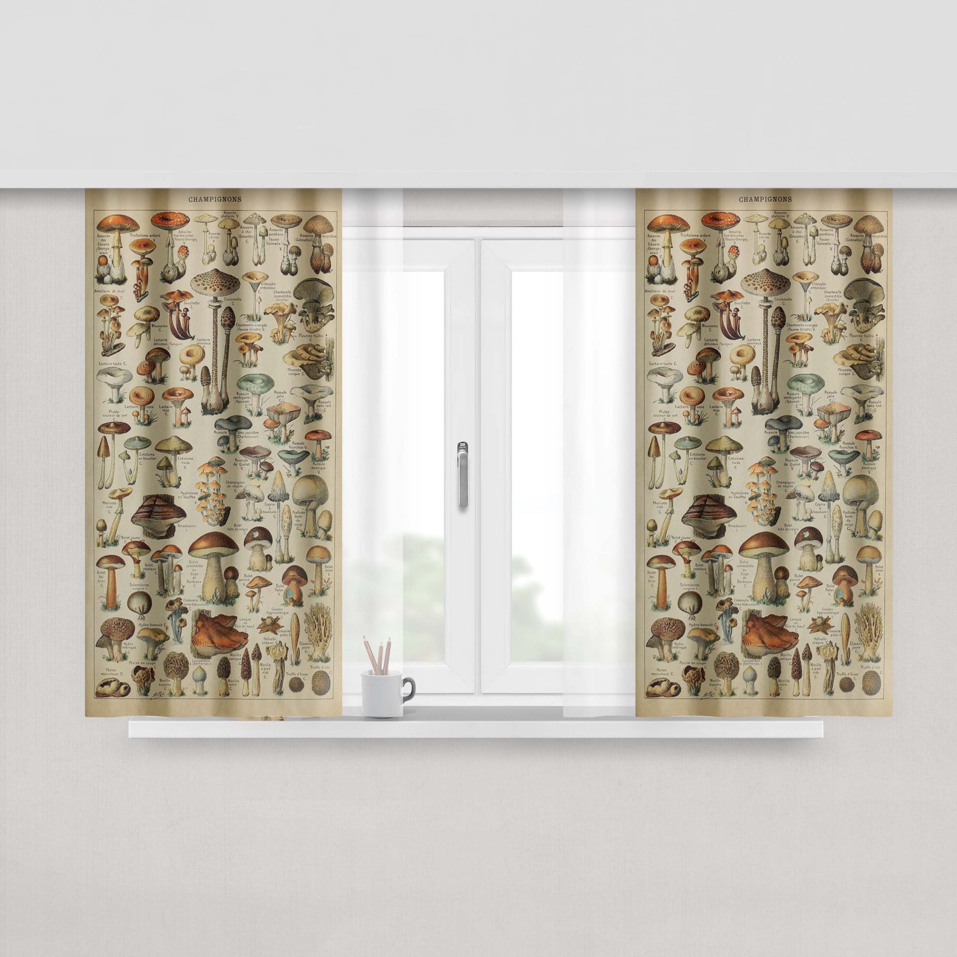 Adolphe Millot'S Mushroom Window Curtains