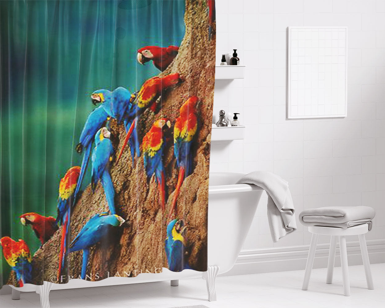 Macaws Bathroom Shower Curtain Fabric Waterproof | 66 X 72 Inch
