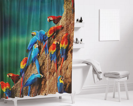Macaws Bathroom Shower Curtain Fabric Waterproof | 66 X 72 Inch