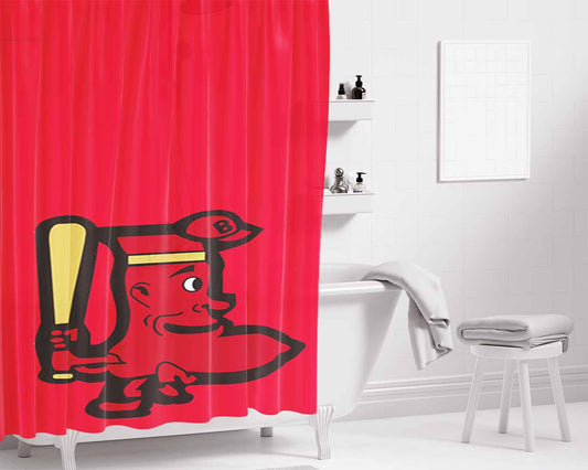 Boston Playing Bathroom Shower Curtain Fabric Waterproof | 66 X 72 Inch