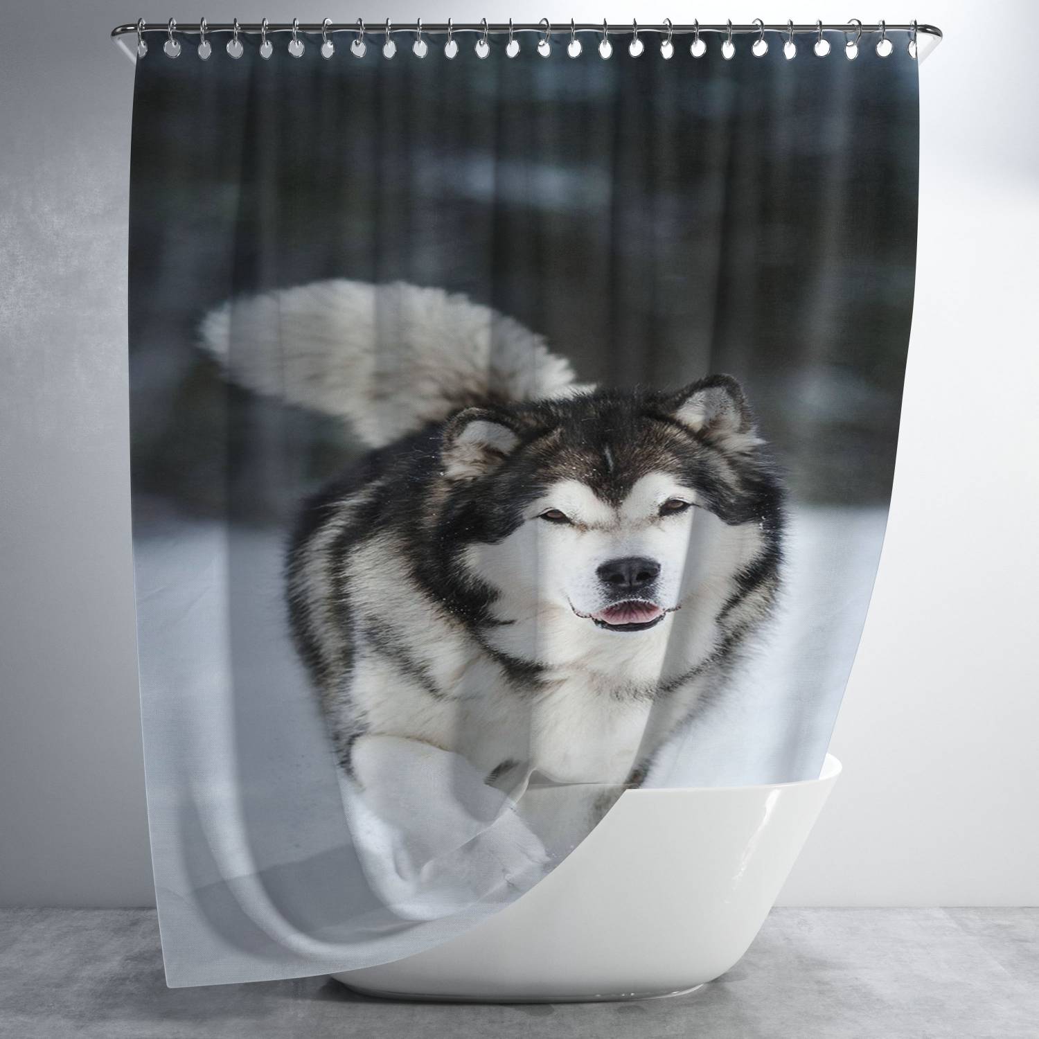 Alaskan Malamute Bathroom Shower Curtain Fabric Waterproof | 66 X 72 Inch